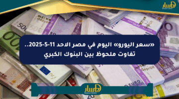 «سعر اليورو» اليوم في مصر الأحد 11-5-2025.. تفاوت ملحوظ بين البنوك الكبرى